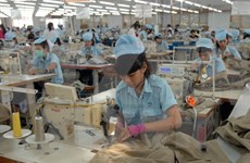 Textil vietnamita busca elevar uso de materias primas nacionales