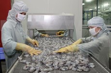  Venta vietnamita de camarones a EE.UU. crecerá en restantes meses
