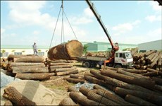 Aumentan exportaciones madereras vietnamitas a China