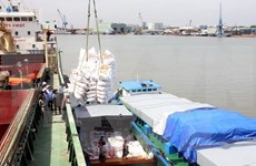Vietnam exportará 450 mil toneladas de arroz a Filipinas