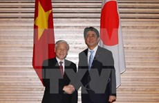 Visita de Phu Trong abre nueva perspectiva para lazos Vietnam-Japón