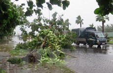 Suman cuatro muertos por continuas lluvias en Nghe An