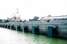 Inauguran en Dong Nai muelle para barcos de gran tonelaje
