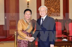  Vietnam actúa para cultivar solidaridad especial con Laos