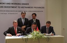 Localidades vietnamitas impulsan conexión con empresas alemanas