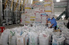 Indonesia comprará arroz de Tailandia y Vietnam