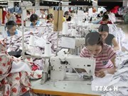 Economía vietnamita mantiene alto ritmo de crecimiento