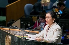 Vietnam participa en reunión 70 de Asamblea General de ONU