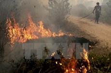 Incendios forestales en Indonesia afectan salud de miles de personas