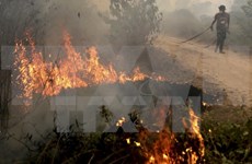  Indonesia publica lista de 240 sospechosos de incendios forestales