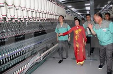 En operación fábrica de fibra textil en Tay Ninh