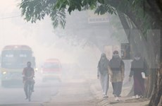  Malasia dispuesta a brindar apoyo en solución de desastre neblina