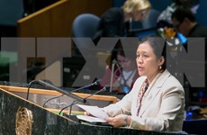 ASEAN elogia papel de la ONU en el desarrollo