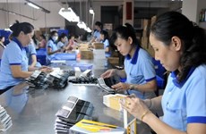 Buscan empresas indias oportunidades de inversión en Nam Dinh
