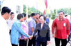 Vicepresidenta vietnamita visita provincia laosiana de Vientiane