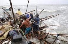 Dos muertos y cuatro heridos causa tifón Koppu en Filipinas