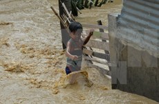 Elevan a 16 los muertos por el tifón Koppu en Filipinas