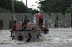 A 47 asciende número de muertos por tifón Koppu en Filipinas
