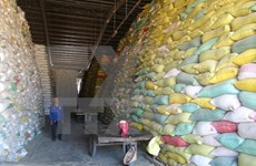 Determina Indonesia importar arroz de Vietnam y Tailandia