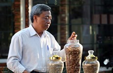 Kien Cuong – marca de visón café de Vietnam 