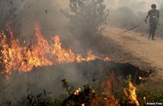 Afectados Malasia y Tailandia por incendios forestales en Indonesia