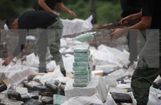 Incumplirá ASEAN objetivo sobre una región sin drogas en 2015