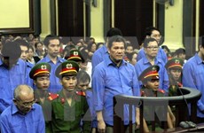  Sentencian a cadena perpetúa a exdirector de compañía vietnamita