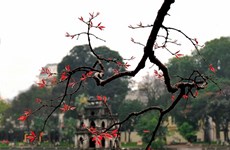 Hanoi empeña en promover turismo en mercados clave