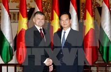Hungría considera Vietnam como su socio importante