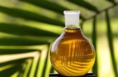Malasia e Indonesia cooperan producción de aceite de palma