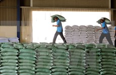 Indonesia:Llegarán próximamente 50 mil toneladas de arroz de Vietnam y Tailandia