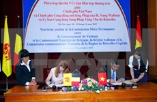 Asistencia belga a Vietnam para ejecución de proyectos importantes
