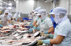 Exportaciones acuícolas reducirán 15 por ciento en 2015