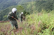 Sudcorea impulsa ayuda a Vietnam en desactivación de bombas