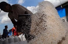 Indonesia importará un millón de toneladas de arroz de Pakistán