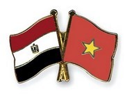 Embajador vietnamita presenta cartas credenciales al presidente egipcio