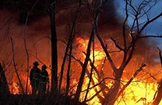 Incendios causan pérdidas por más de 16 mil millones de dólares en Indonesia
