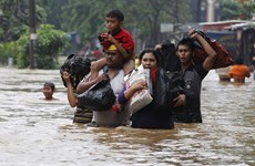 Indonesia sufre grandes pérdidas causadas por El Niño