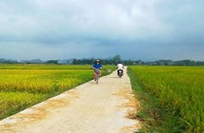 Thua Thien- Hue busca agilizar construcción de nuevas zonas rurales en 2016