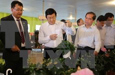 Presidente aplaude esfuerzos de provincia de Lam Dong en desarrollo agrícola