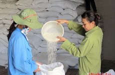 Entregan miles toneladas de arroz a pobres en ocasión del Tet