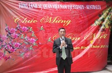 Residentes vietnamitas en ultramar celebran encuentros en ocasión del Tet