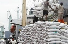 Myanmar: exportaciones de arroz afectadas por severas inundaciones