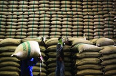 Tailandia pierde posición número uno como exportador mundial de arroz