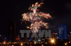 Ciudad Ho Chi Minh festeja año nuevo lunar con fuegos artificiales