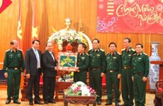 Vicepremier visita a soldados en ocasión de Año Nuevo Lunar
