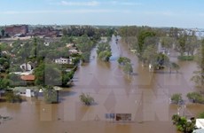 Miles de indonesio evacuados por deslaves e inundaciones