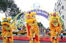 Con espectáculos y júbilo, vietnamitas reciben el Año de Mono