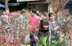 Los mercados de flores en Hanoi