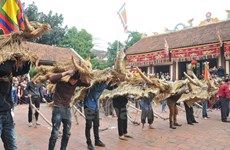 Fiesta primaveral de res de paja en Vinh Phuc